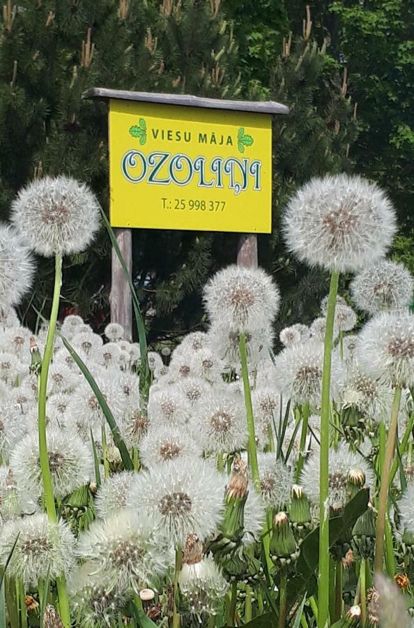 Villa Viesu Maja "Ozolini" Jurkalne Exterior foto